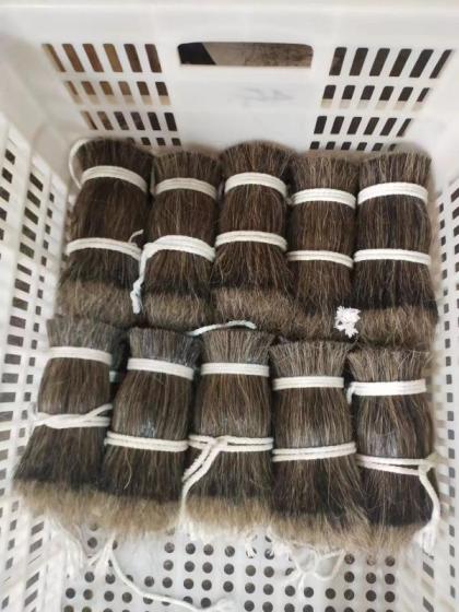 18cm HORSE HAIR MIXED PP Filament