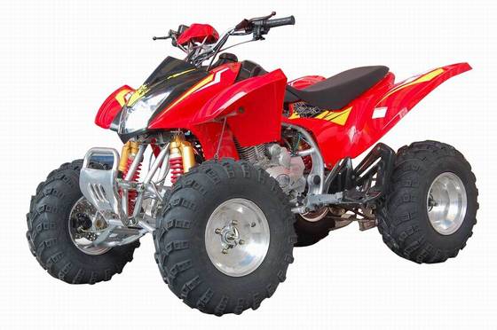 250cc ATV TRX450 Copy