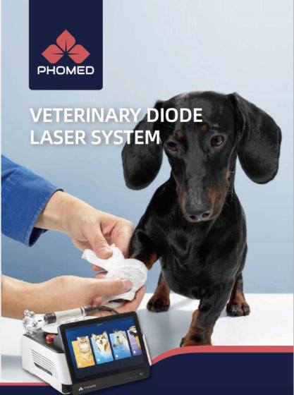 810NM+980NM Veterinary Class IV Laser for Sale