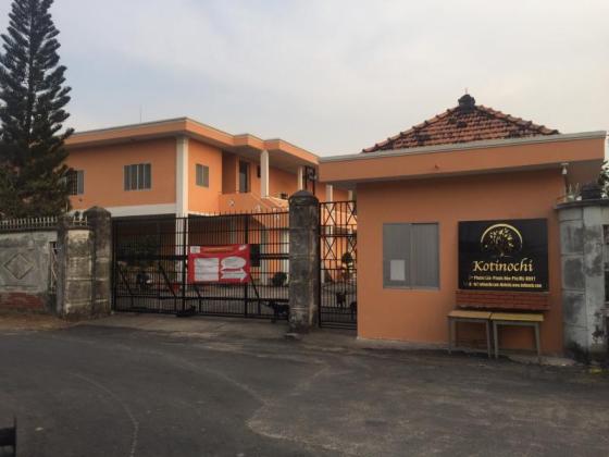 Blue Nitrile Gloves Examination Powder Free White Latex Factory in Vietnam