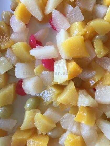Canned Mixed Fruits