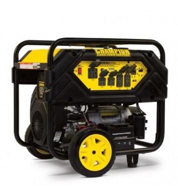 Champion Power Equipment 12000-Watt Portable Generator with Electric Start and Lift Hook