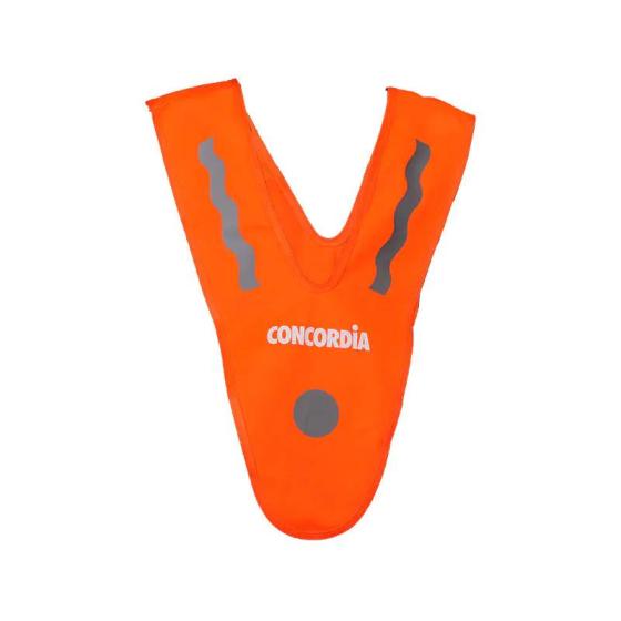 Children Safety Vest