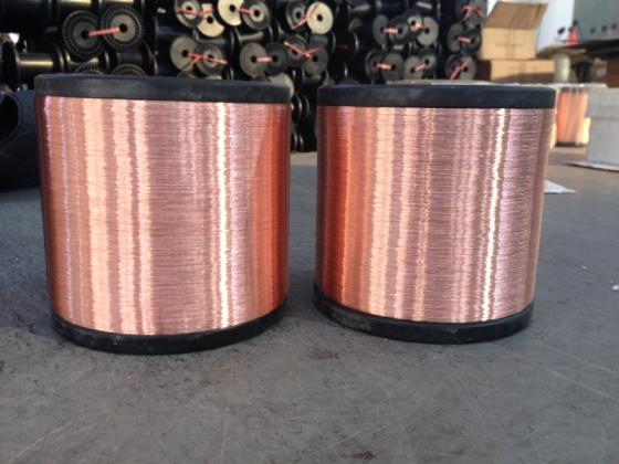 Copper Clad Steel Wire(Ccs Wire)