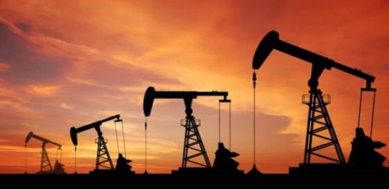 D2: Diesel Fuel for Transport and Industrial Applications.
