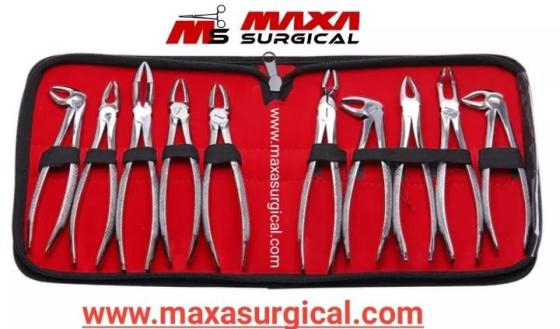 Dental Top Quality 10PCS Forceps Dental Pliers Set Dental Surgical Instrument for Dentist