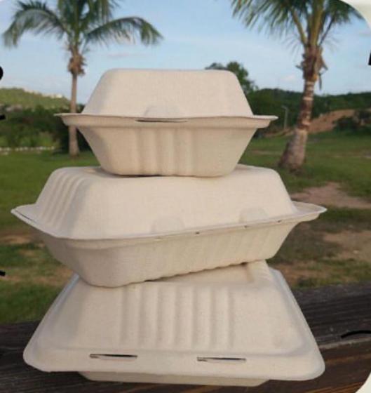 Disposable Lunch Boxes and Plates–Generic term for single-u