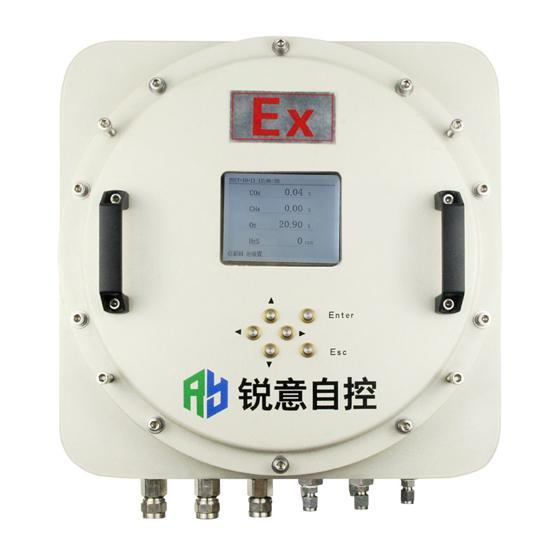 EX-proof Online Biogas Analysis System GASBOARD-3500