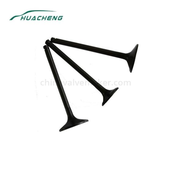 Excavator Parts Intake Valve for Caterpillar S6K