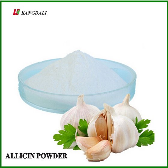 Feed Allicin/Garlicin/Garlex/Garlic Mix 25% Powder for Poultry Growth Health