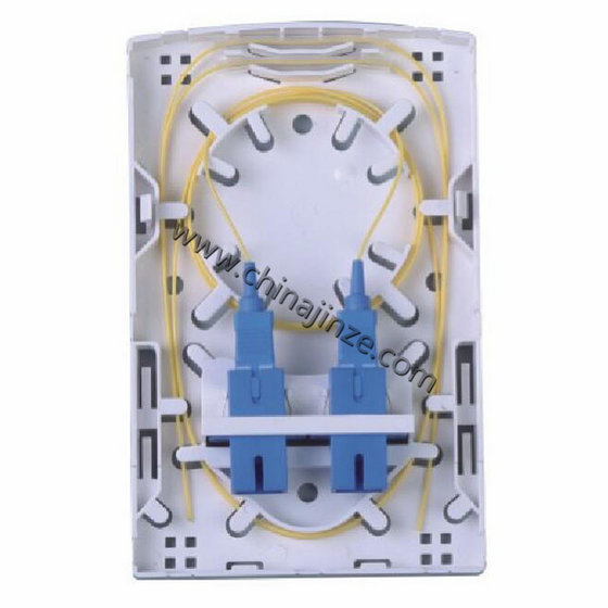 Fiber Optic Termination Box with Pgtail 2 Core