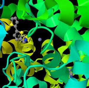 Fragment Based Drug Discovery(FBDD)