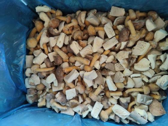 Frozen Mixed Mushrooms