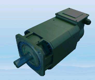 GM7 Asynchronous Servo Spindle Motor