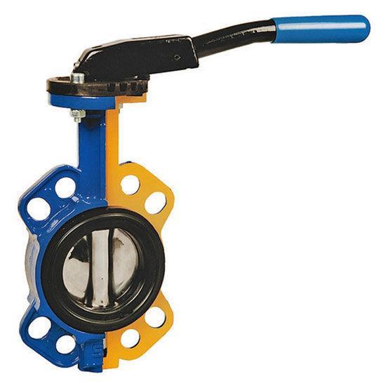 Globe Valve