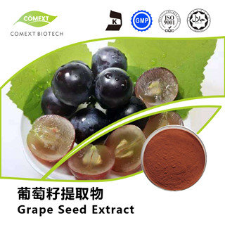 Grape Seed Extract 95% OPC Powder