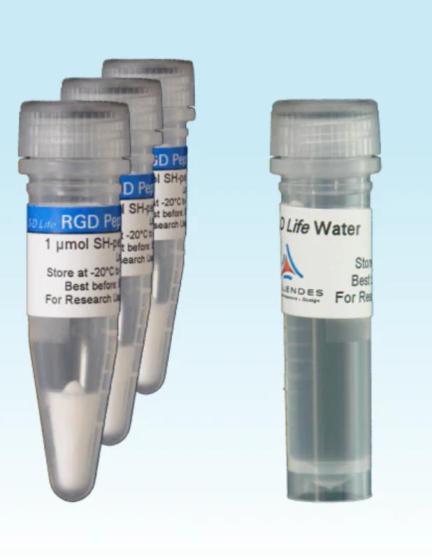 High Fidelity DNA Polymerase 2x Master Mix