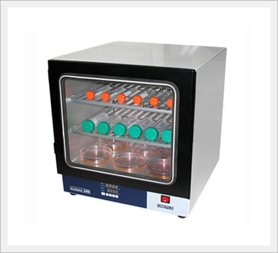 Hybridization Incubator - AR6