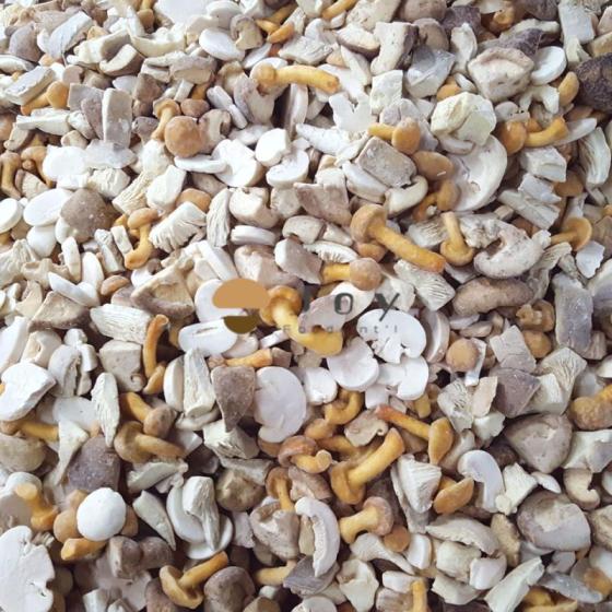 IQF Frozen Mixed Mushrooms Cocktail