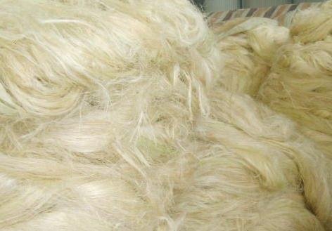 Kenya Sisal Fiber Bulk Quality Supply From Russia.