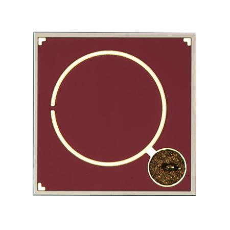 Large Active Area InGaAs PIN PD Chip