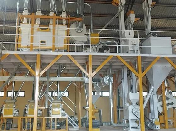 NIGERIA 10TPD-20TPD Steel Frame Maize Mill Plant