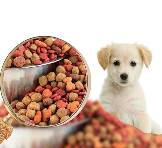 PET Food Production Line