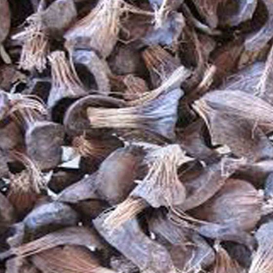 Palm Kernel Shell (PKS)