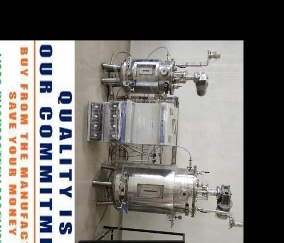 Pilot Scale Fermenter Bioreactor Manufacturer