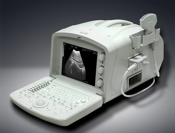 Portable B/W Ultrasound