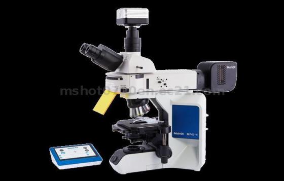 Research-level Upright Fluorescence Microscope MF43-N – Lab