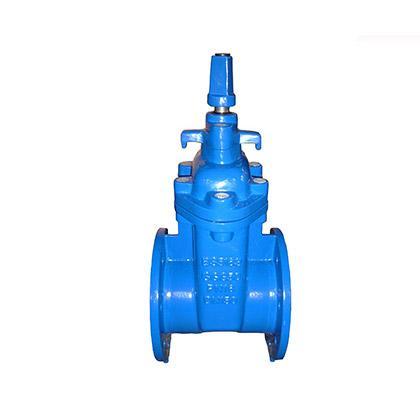 Resilient Seat Gate Valve – BS Standard