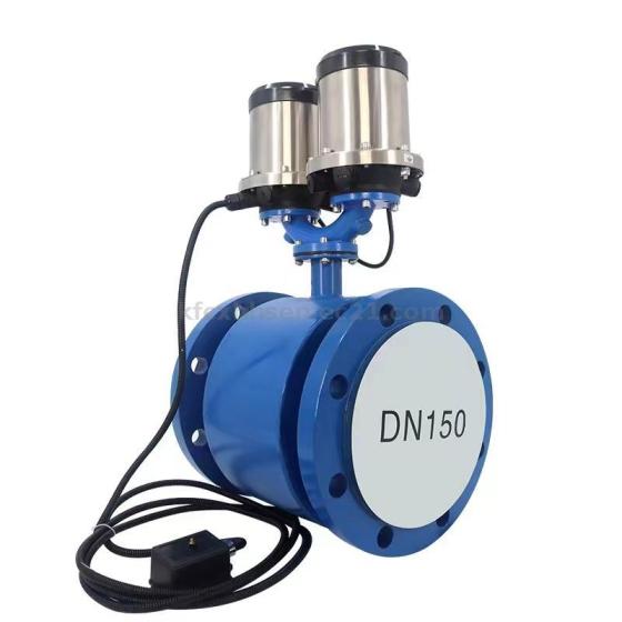 Smart 0.3%/0.5%/ PTFE OEM Remote Electromagnetic Flow Meter