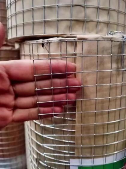 Stainless Steel Welded Wire Mesh – Construction Material Su