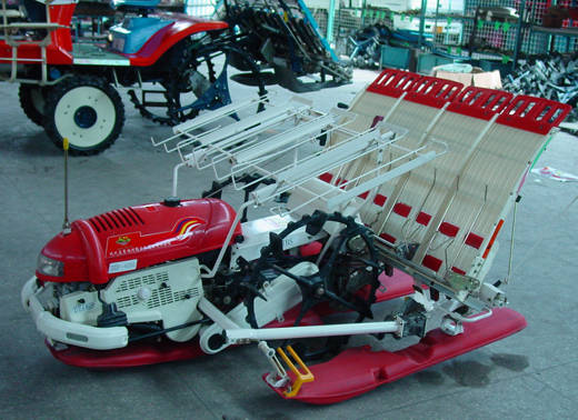 Transplanter Walking Type