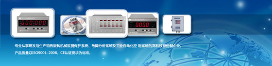 Vibration Monitor System