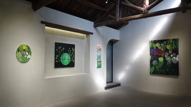 James Lin Solo Exhibition